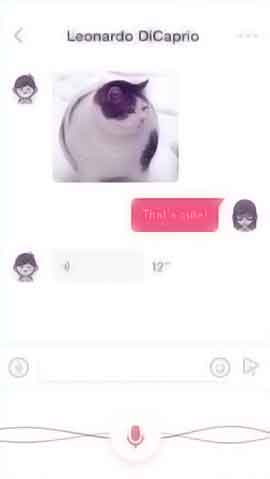 ddos攻击在哪能买到软件程序维护界面